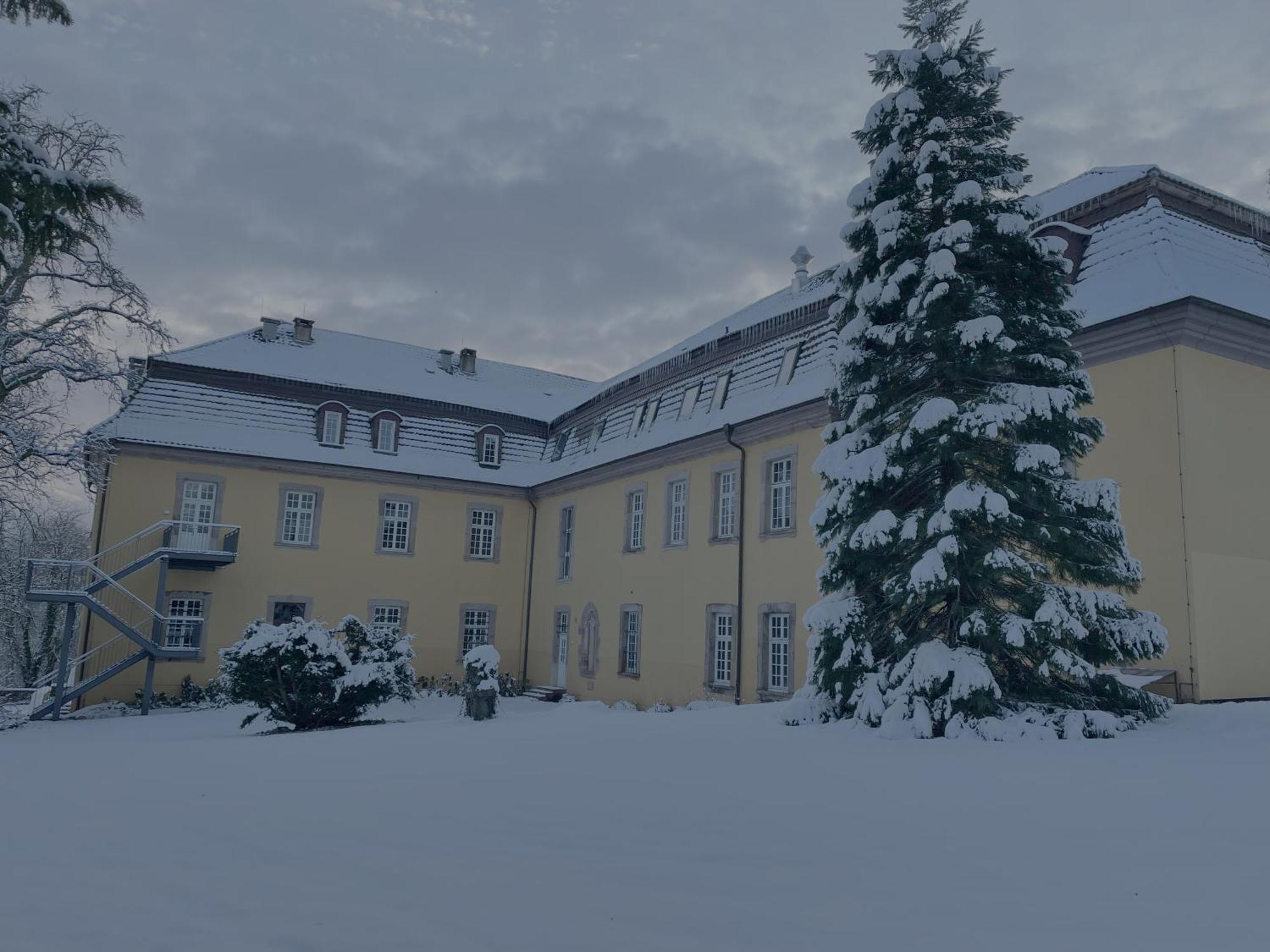Hotel Schloss Hoehnscheid Bad Arolsen Bagian luar foto